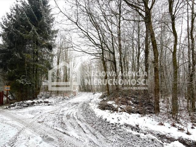 Grunt na sprzedaż w Ramleje, Pomorskie