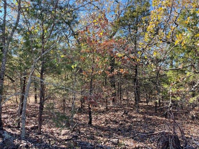Land for sale in Eufaula, Oklahoma