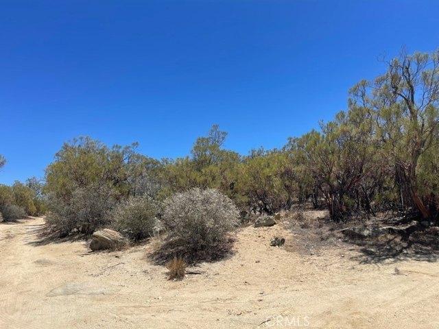 Land for sale in Anza, California