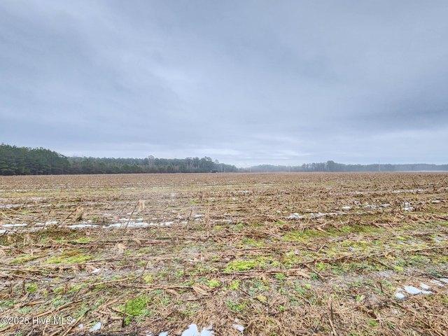 Land for sale in Clarendon, North Carolina