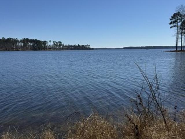 Land for sale in Chatham, Jackson Parish