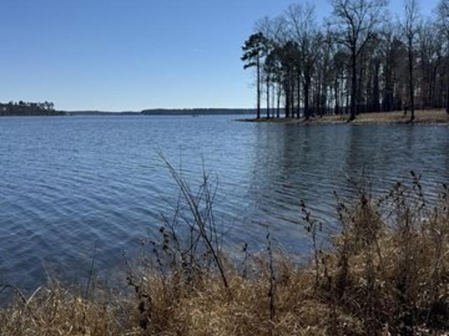 Land for sale in Chatham, Jackson Parish