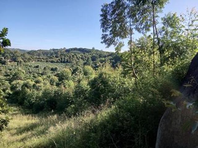 Farm for sale in Ugu District Municipality, Kwazulu-natal