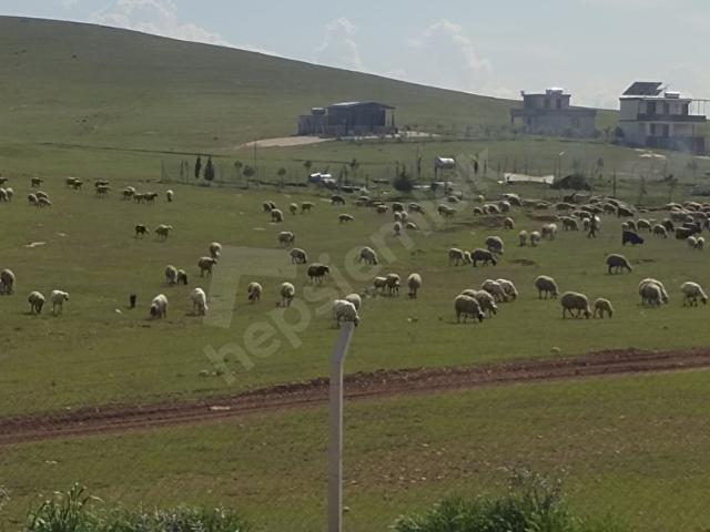 Şanliurfa içerisinde satılık mülk