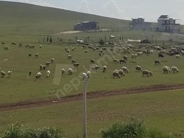 Şanliurfa içerisinde satılık mülk