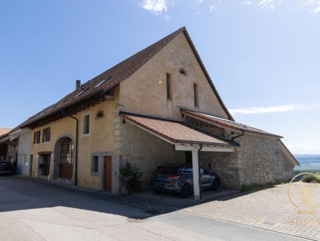 Bauernhaus kaufen in Rances, Waadt