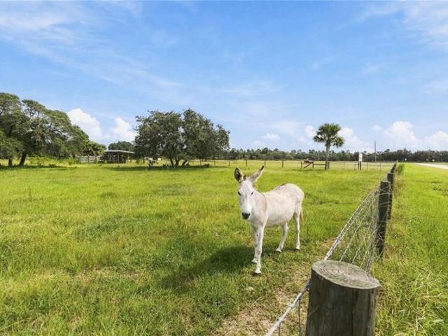 Land for sale in Astatula, Lake County