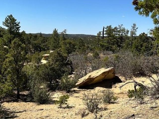 Land for sale in Catron, New Mexico