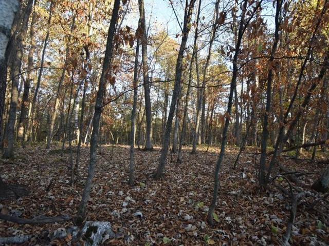 Land for sale in Crosslake, Minnesota