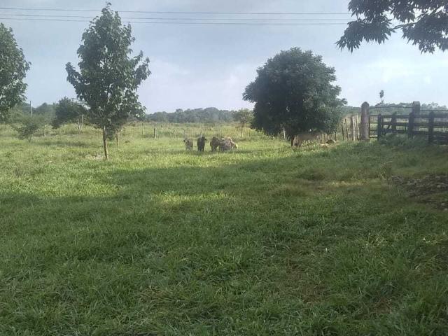 Rancho en venta en Tzucacab, Yucatán