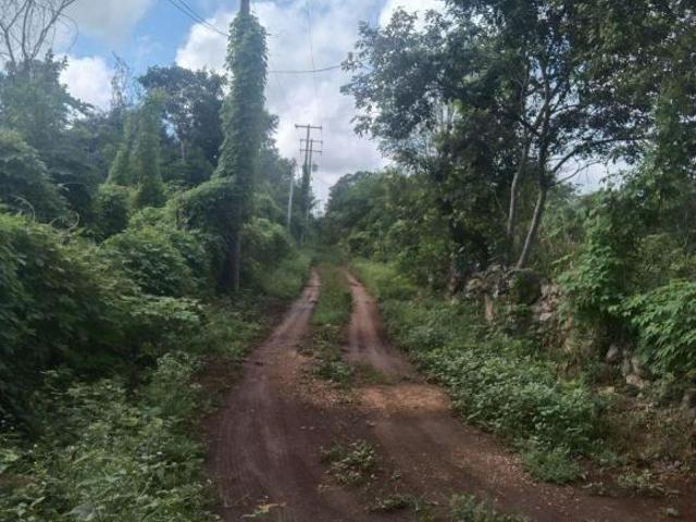 Rancho en venta en Temax, Yucatán