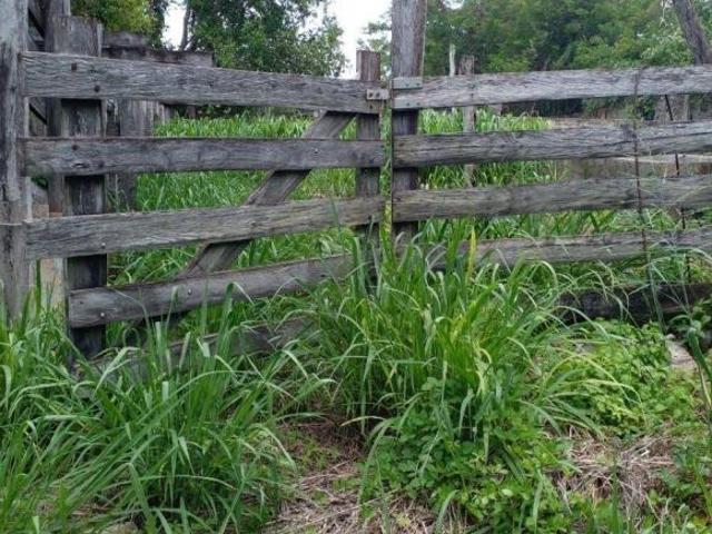Rancho en venta en Espita, Yucatán