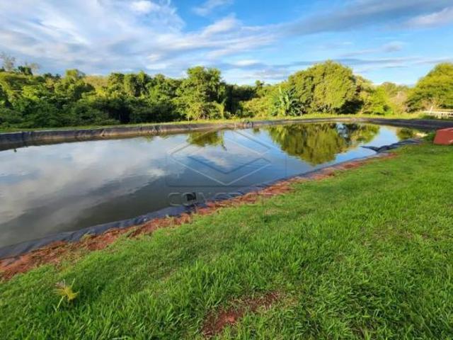 Sitio venda em Pederneiras, Avaí
