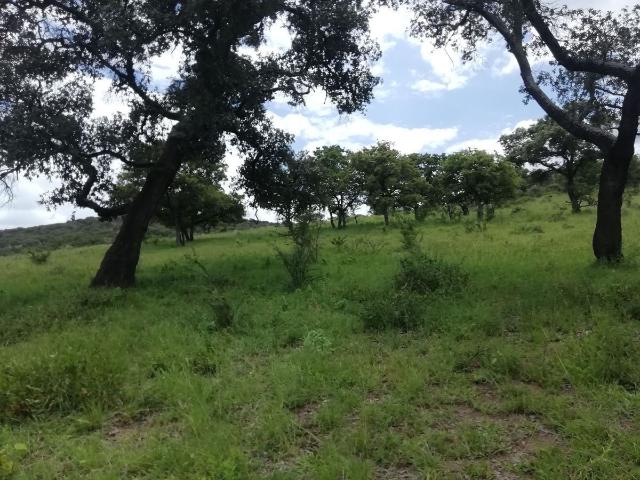 Rancho en venta en Cañadas De Obregón, Jalisco
