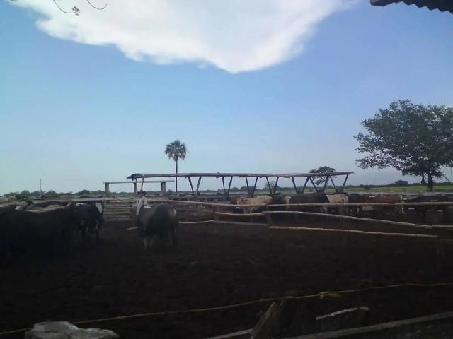 Terreno en venta en Tierra Blanca, Veracruz