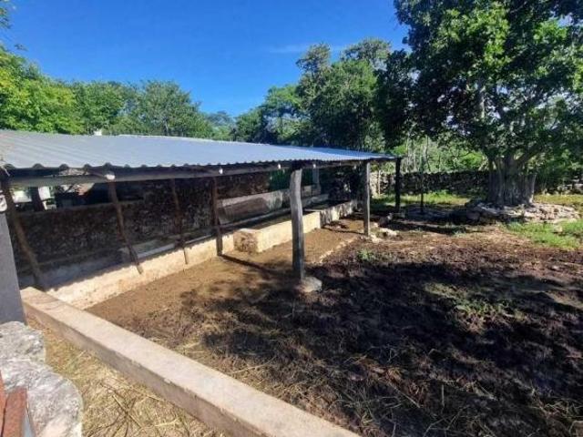 Rancho en venta en Buctzotz, Yucatán