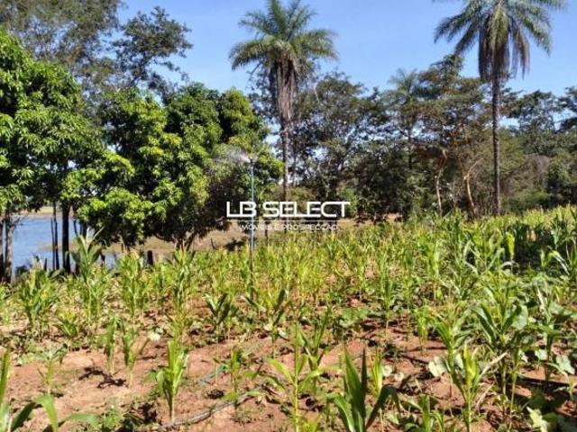 Sítio e chácara venda em Cascalho Rico, Região Geográfica Intermediária de Uberlândia