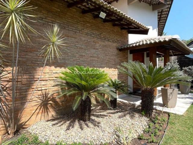Sítio e chácara venda em Região Imediata de Birigui-Penápolis, Birigui