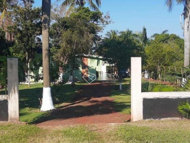 Sítio e chácara venda em Região Geográfica Imediata de Londrina, Primeiro de Maio