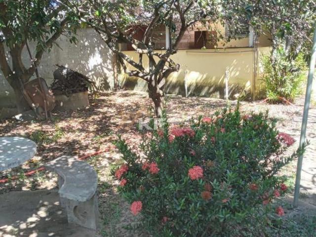 Sítio e chácara venda em Região Imediata de Ribeirão Preto, Região Metropolitana de Ribeirão Preto