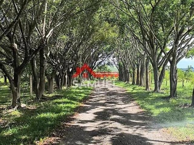 Apartamento venda em Região Geográfica Imediata do Distrito Federal, Região Integrada de Desenvolvimento do Distrito Federal e Entorno