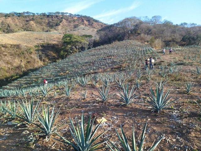 Rancho en venta en Xalisco, Nayarit