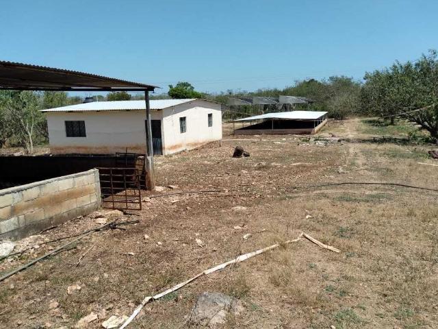 Rancho en venta en Opichén