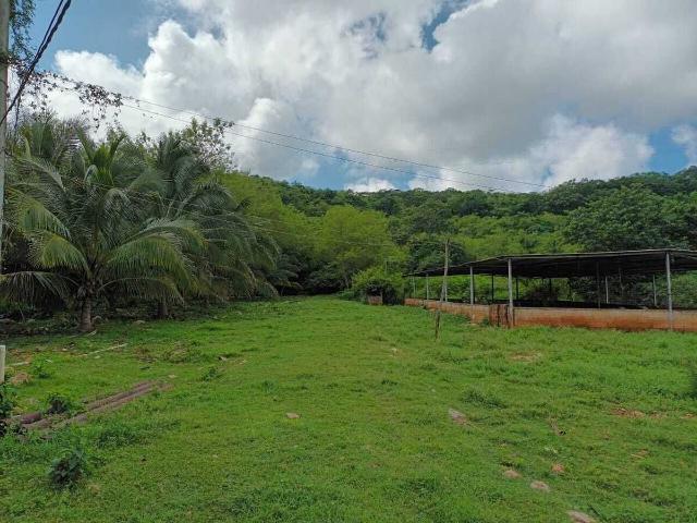 Rancho en venta en Opichén