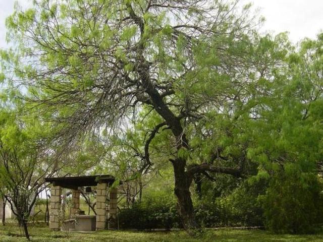 Rancho agrícola en Los Ramones