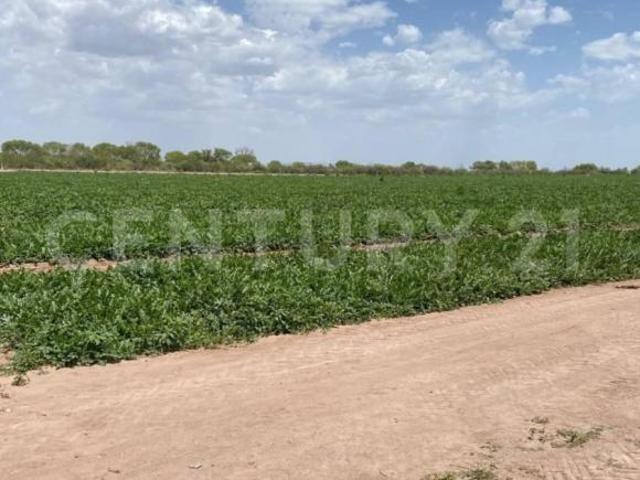 Rancho en venta en Meoqui, Chihuahua