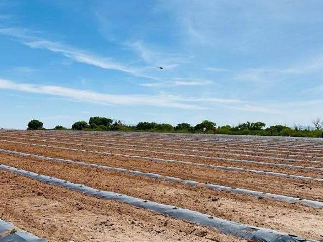 Rancho en venta en Meoqui, Chihuahua