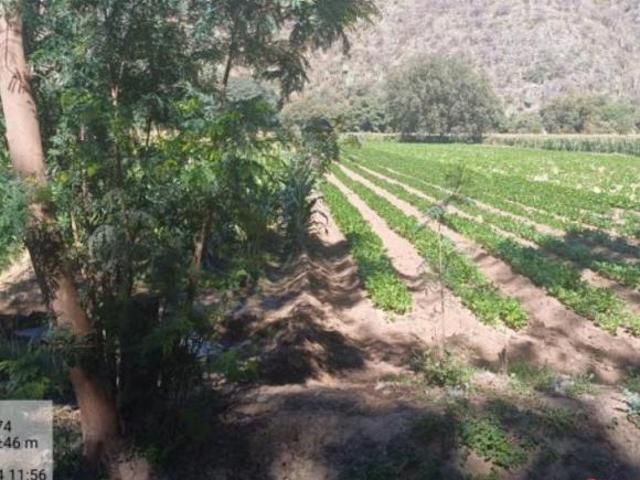 Rancho en venta en Metztitlán, Hidalgo