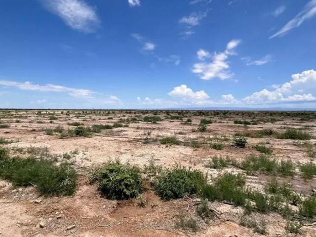 Rancho agrícola en venta en Paila, Coah