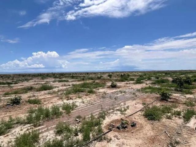 Rancho agrícola en venta en Paila, Coah
