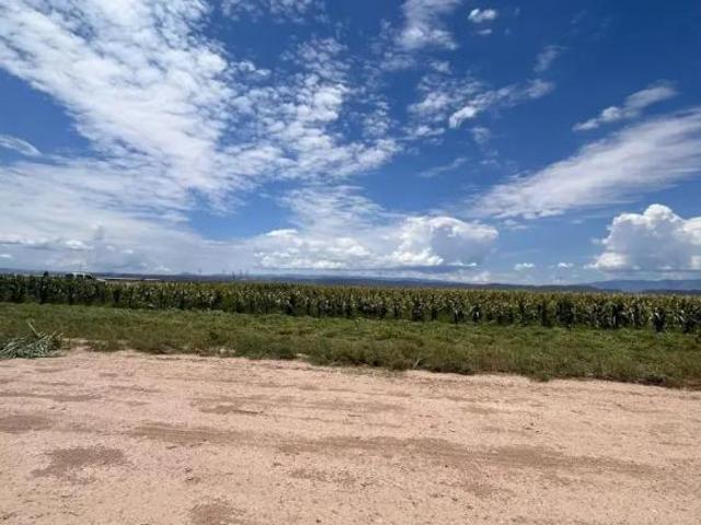 Rancho agrícola en venta en Paila, Coah