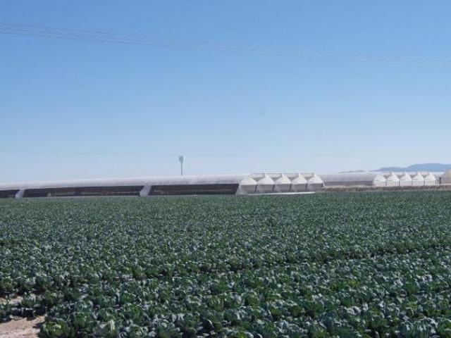Rancho en venta en San Luis Potosí