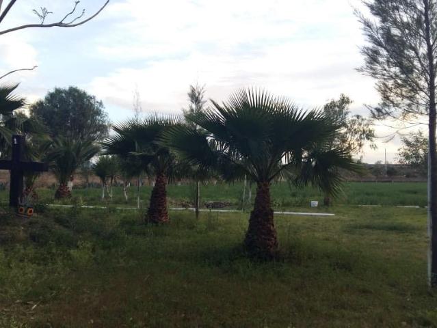 Rancho en venta en Celaya, Guanajuato