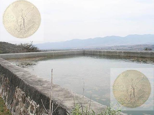 Rancho agrícola y ganadero con abundante agua