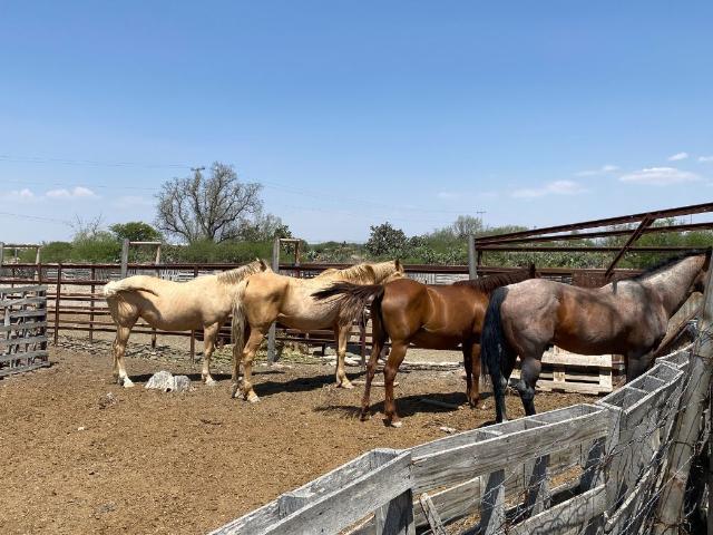 Rancho en venta en Santiago de Querétaro, Municipio de Querétaro