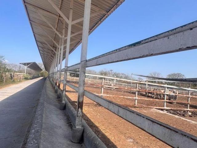 Rancho en venta en Cotaxtla, Veracruz