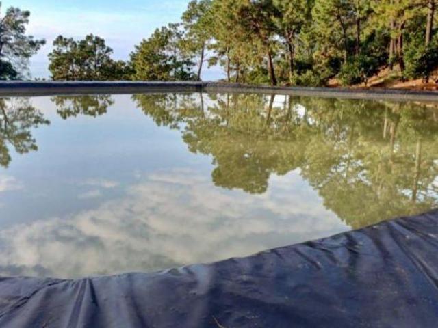 Rancho Aguacatero en venta, Tancitaro Michoacan