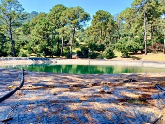 Rancho Aguacatero en venta, Tancitaro Michoacan