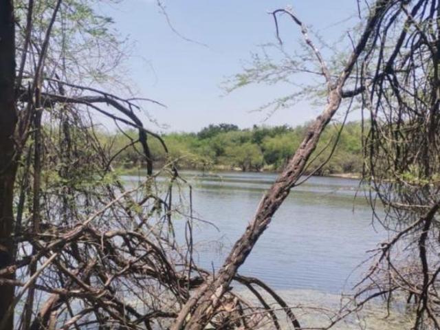 Rancho en venta en Soto La Marina, Tamaulipas