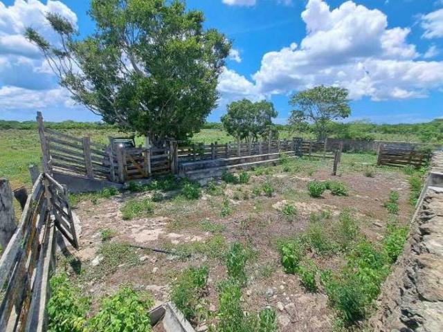 Rancho en venta en Buctzotz, Yucatán