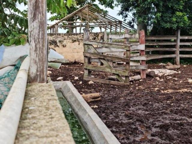 Rancho en venta en Kantunil, Yucatán