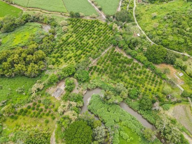 Rancho cerca de la Hacienda de San Gabriel de las Palmas