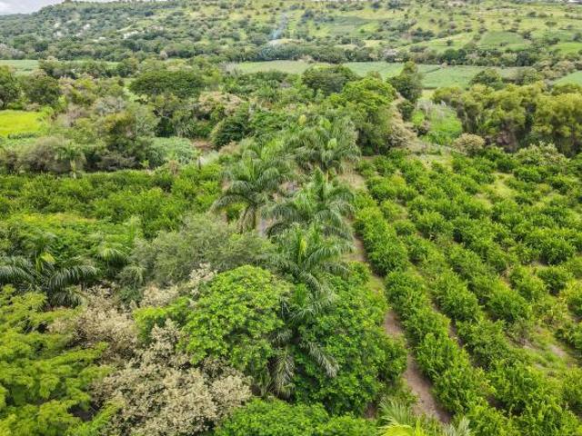 Rancho cerca de la Hacienda de San Gabriel de las Palmas