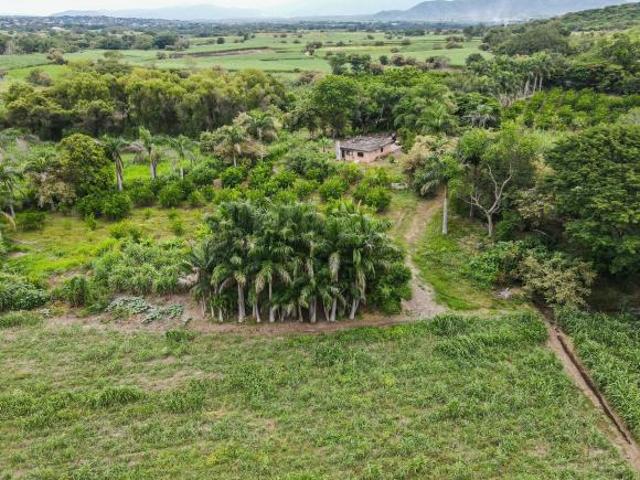 Rancho cerca de la Hacienda de San Gabriel de las Palmas