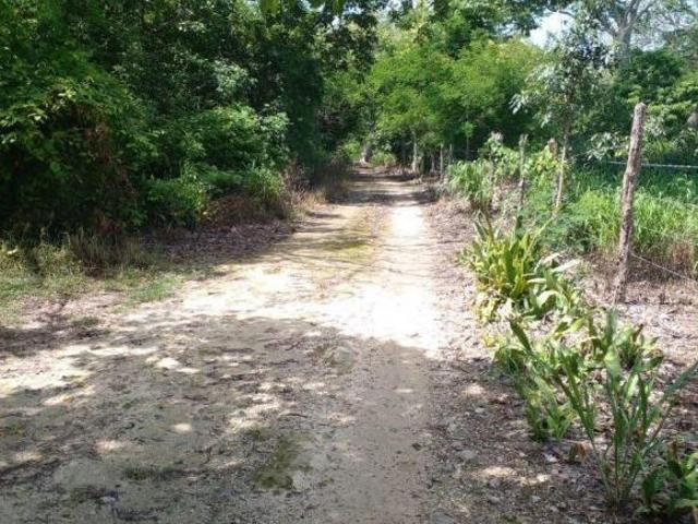 Rancho en venta en Kantunil, Yucatán