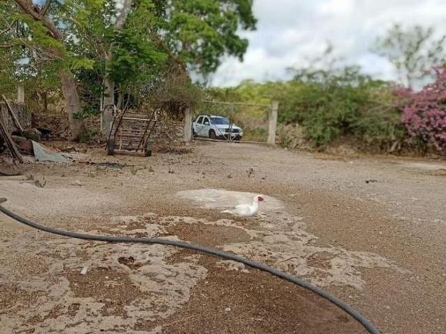 Rancho en venta en Sucilá, Yucatán